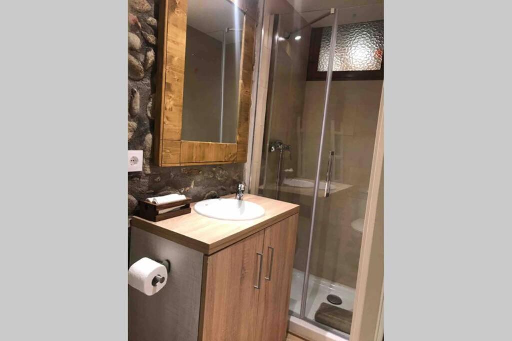 Puigcerda Centro. Acogedor Apartament En El Pueblo Екстер'єр фото